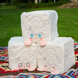 [In Stock] 15*15*15cm Kawaii Cube Plushies Fanmade Starrail Pillow