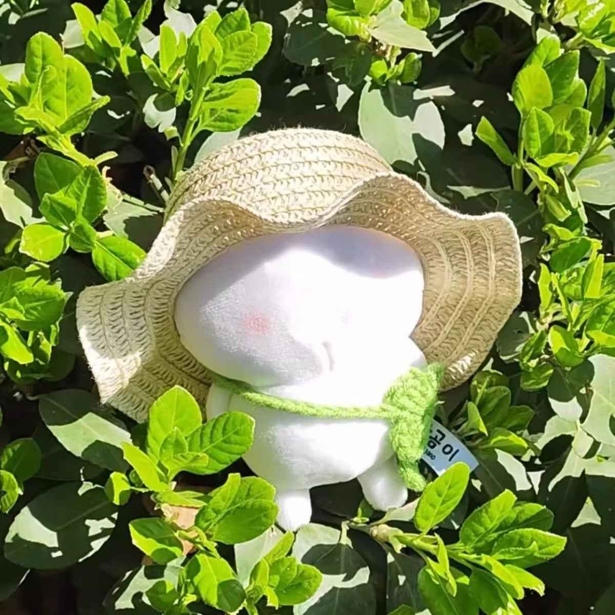 Straw Hat, Four-leaf Clover Bag, & Green Glasses
