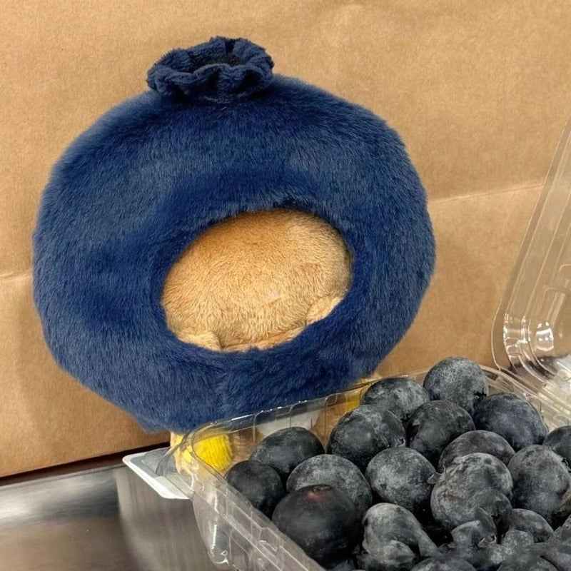 Blueberry Headgear